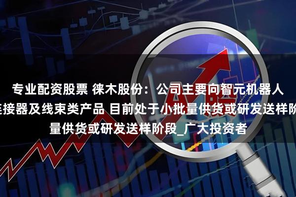 专业配资股票 徕木股份：公司主要向智元机器人销售精密电子连接器及线束类产品 目前处于小批量供货或研发送样阶段_广大投资者