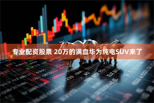 专业配资股票 20万的满血华为纯电SUV来了