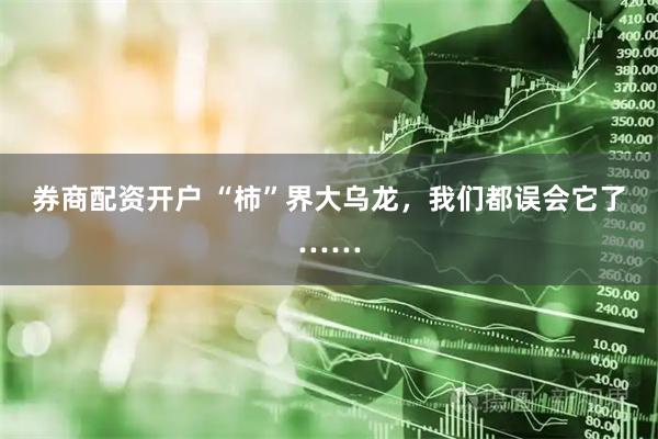 券商配资开户 “柿”界大乌龙，我们都误会它了……